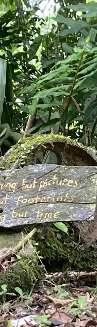 Verantwortungsbewusstes Reisen  in der Selva-Bananito-Lodge